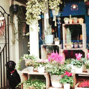 Gift Certificates & Subscriptions